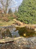 20220217_19-Orkanbilder11