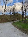 20220217_19-Orkanbilder14