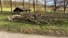 20220217_19-Orkanbilder19