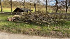 20220217_19-Orkanbilder19