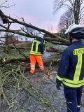 20220217_19-Orkanbilder8